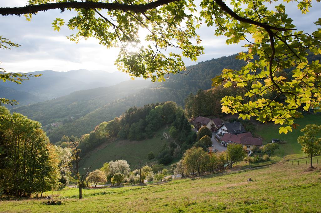 Logis Auberge Du Mehrbachel - Hotel & Restaurant Saint-Amarin Zewnętrze zdjęcie