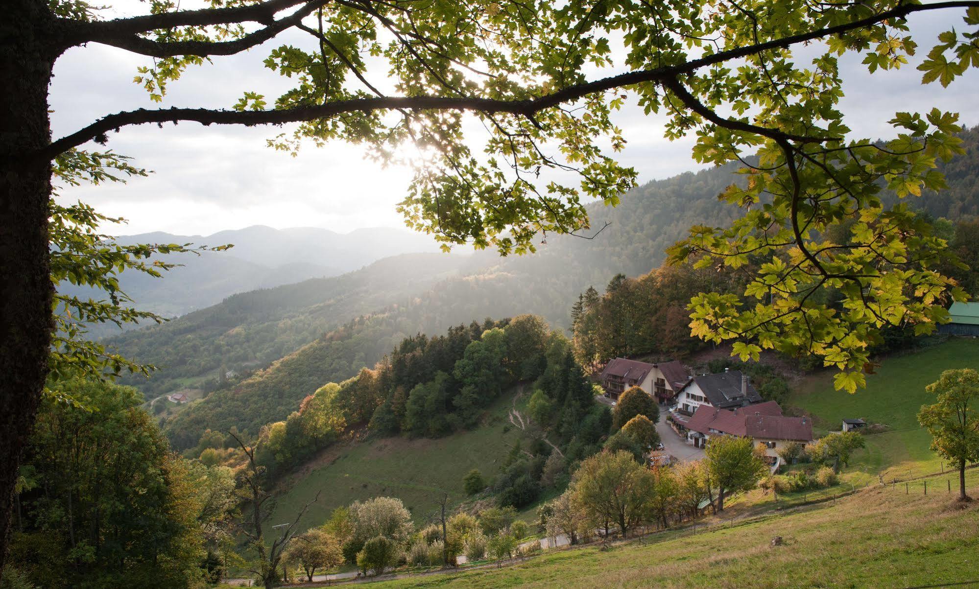 Logis Auberge Du Mehrbachel - Hotel & Restaurant Saint-Amarin Zewnętrze zdjęcie